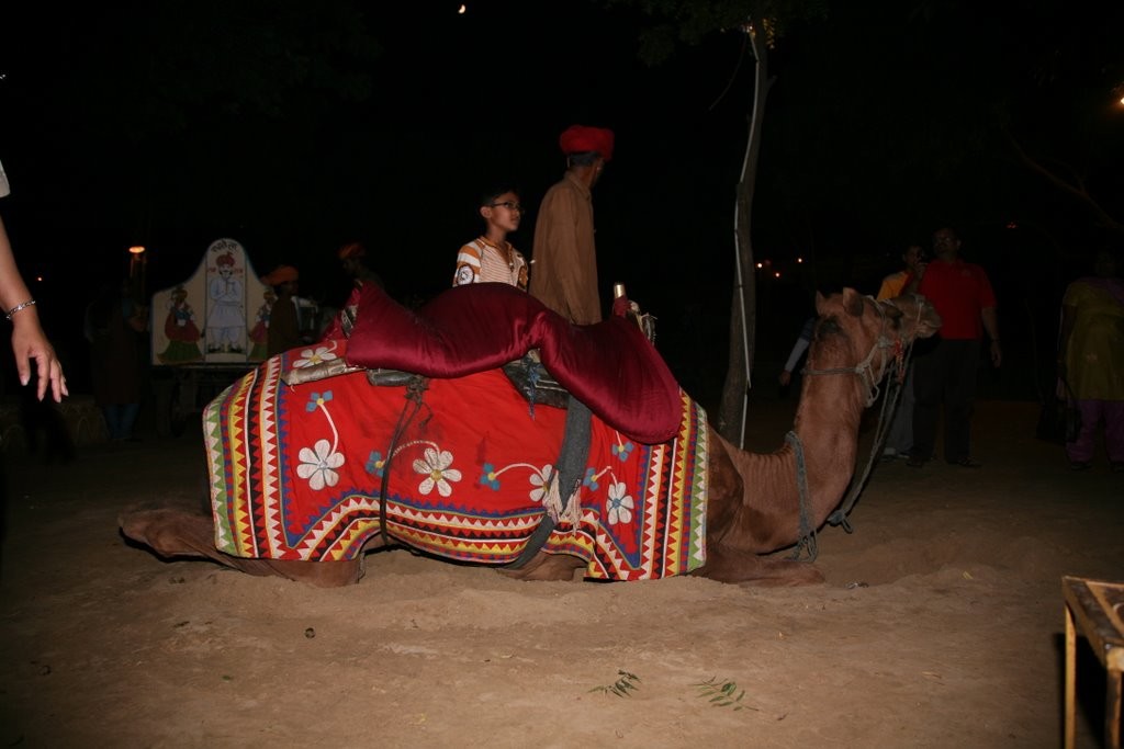 Camel Ride in Chokhi Dhani