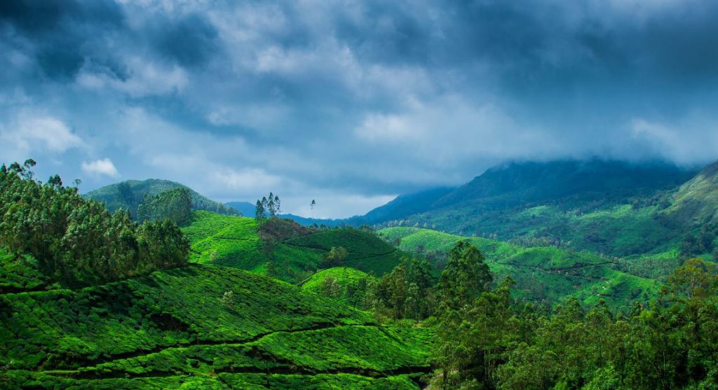 Exciting Things Must do In Kerala Tours – A Step by Step Guide, All You ...